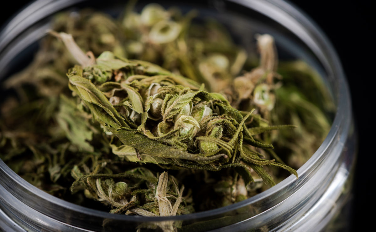 CBD Blüten